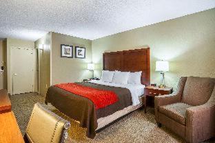 King Room,542095968:JPEG